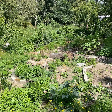 Kleines Gruenes Haus In Der Seenplatte Carpin