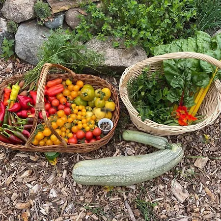 Kleines Gruenes Haus In Der Seenplatte Hébergement de vacances *