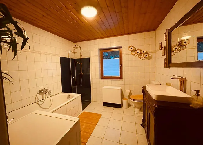 Kleines Grünes Haus In Der Seenplatte Ferienhaus